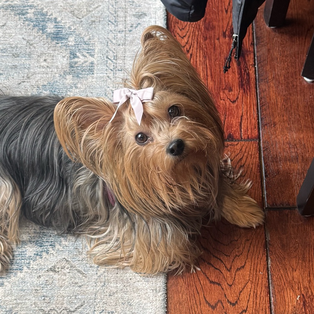 Live Thursday @ 10am EST - new and unlisted. - Picture 5 of 7